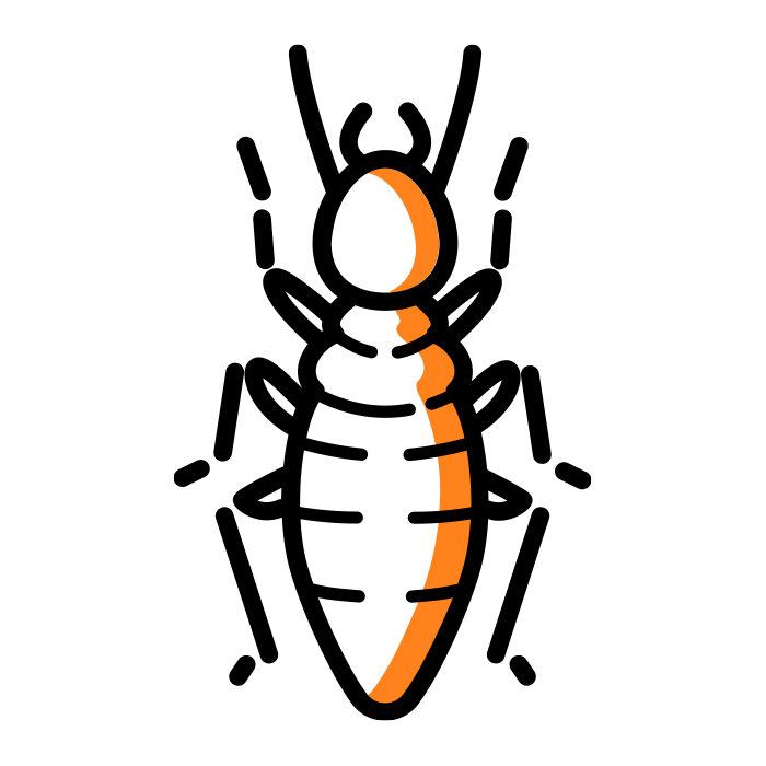 Termite icon